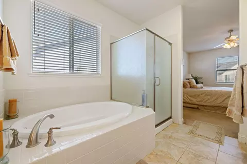 543 Cistus, Manteca, CA 95337 photo 37