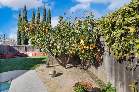 Exterior - 727 Barcelona Ave, Davis, CA 95616 photo 10 of 17