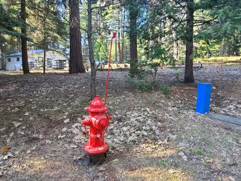 3175 Easy St, Pollock Pines, CA 95726 photo 8