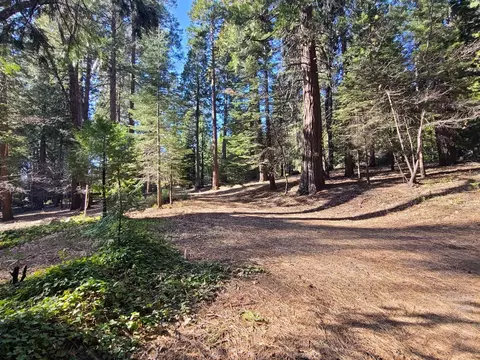 3175 Easy St, Pollock Pines, CA 95726 photo 9