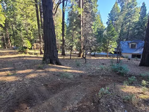 3175 Easy St, Pollock Pines, CA 95726 photo 40