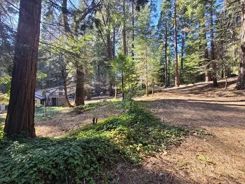 3175 Easy St, Pollock Pines, CA 95726 photo 10