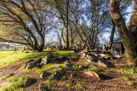 470 Reams Rd, Newcastle, CA 95658 photo 49