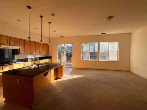 506 Squash Creek Ln, Patterson, CA 95363 photo 27