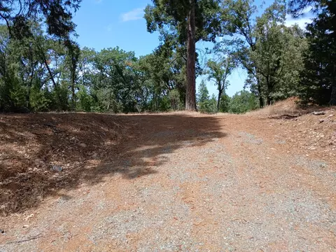 20295 Shake Ridge Rd, Volcano, CA 95689 photo 6