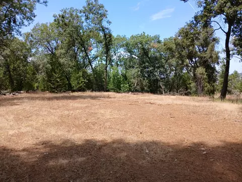 20295 Shake Ridge Rd, Volcano, CA 95689 photo 1