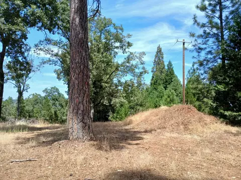 20295 Shake Ridge Rd, Volcano, CA 95689 photo 7