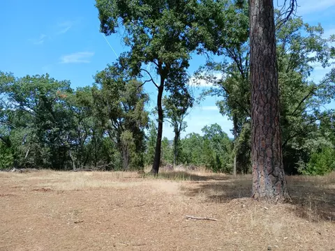 20295 Shake Ridge Rd, Volcano, CA 95689 photo 5