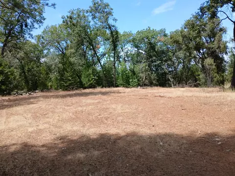 20295 Shake Ridge Rd, Volcano, CA 95689 photo 2