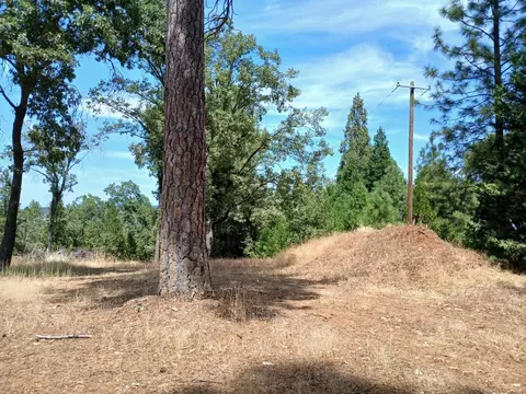 20295 Shake Ridge Rd, Volcano, CA 95689 photo 3