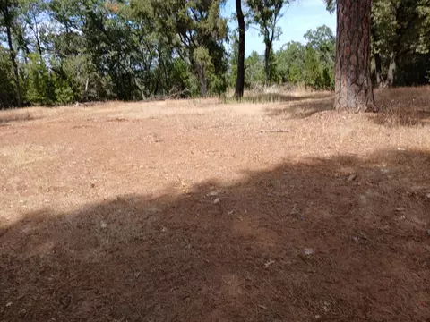 20295 Shake Ridge Rd, Volcano, CA 95689 photo 4