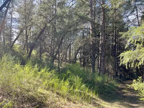 4790 Quarry Ct, Placerville, CA 95667 photo 11