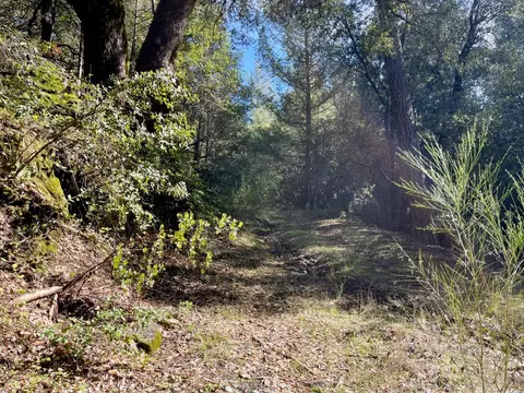 4790 Quarry Ct, Placerville, CA 95667 photo 25