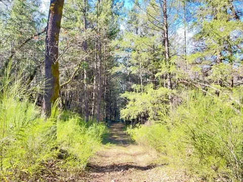 4790 Quarry Ct, Placerville, CA 95667 photo 10