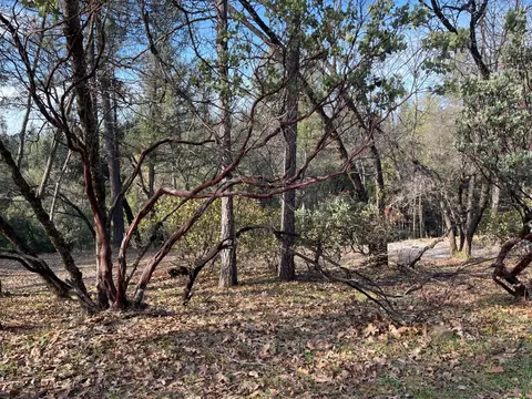 4790 Quarry Ct, Placerville, CA 95667 photo 7