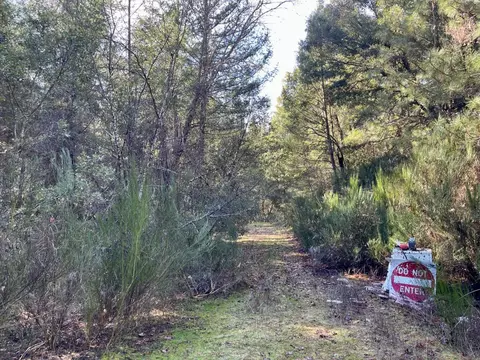 4790 Quarry Ct, Placerville, CA 95667 photo 18