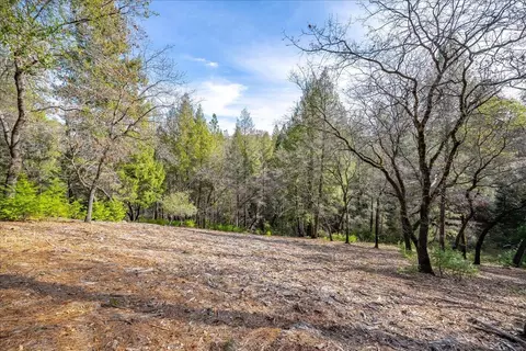 2539 Hidden Gold Ct, Cool, CA 95614 photo 32
