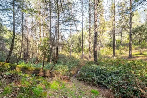 2539 Hidden Gold Ct, Cool, CA 95614 photo 37