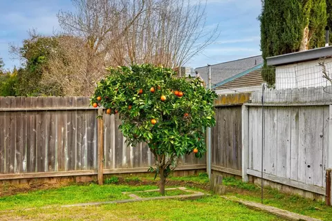 1546 7th St, Ripon, CA 95366 photo 26