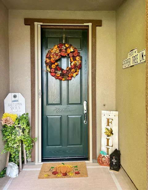 2320 Pepper Tree Ln, Manteca, CA 95336 photo 33