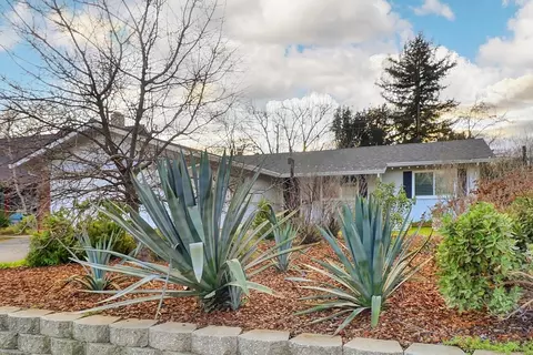 1321 Locust Pl, Davis, CA 95618 photo 51