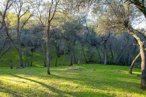4309 Alazan Rd, Placerville, CA 95667 photo 44