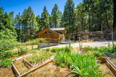 Exterior - 3065 Oregon Trail Rd, Georgetown, CA 95634 photo 15 of 37