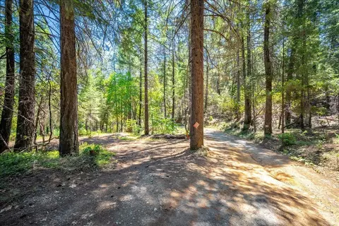 Other - 3065 Oregon Trail Rd, Georgetown, CA 95634 photo 19 of 21