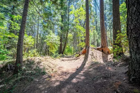 Other - 3065 Oregon Trail Rd, Georgetown, CA 95634 photo 18 of 21