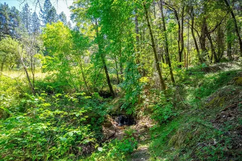 Other - 3065 Oregon Trail Rd, Georgetown, CA 95634 photo 15 of 21