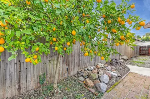 2430 Pinnacles Dr, Rocklin, CA 95677 photo 34