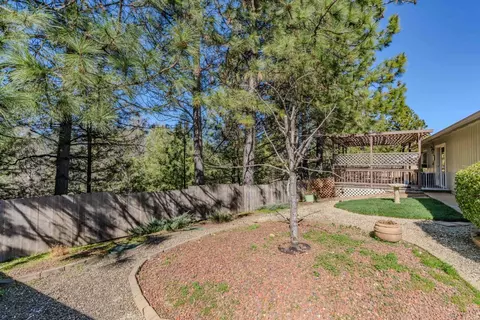 13545 Marko Ln, Pine Grove, CA 95665 photo 29
