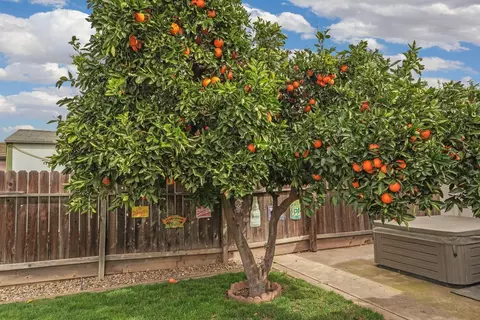 2372 Gateway Cir, Lodi, CA 95240 photo 41