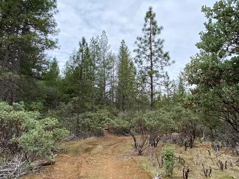 3 Todd Valley Rd, Foresthill, CA 95631