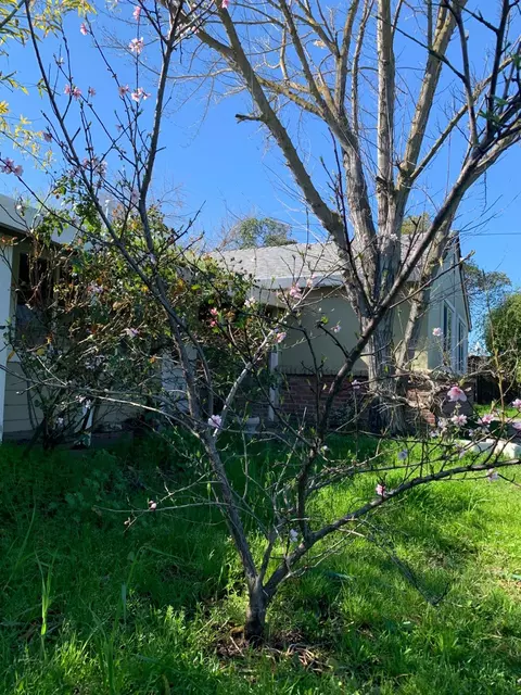 Exterior - 6436 Elder Creek Rd, Sacramento, CA 95824 photo 17 of 26