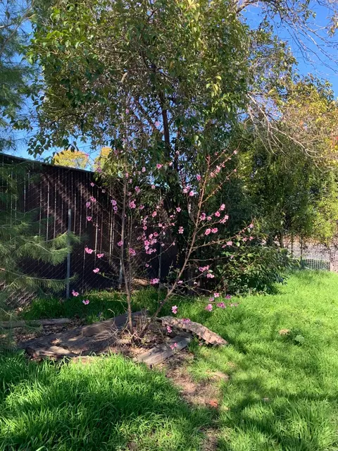Other - 6436 Elder Creek Rd, Sacramento, CA 95824 photo 1 of 11