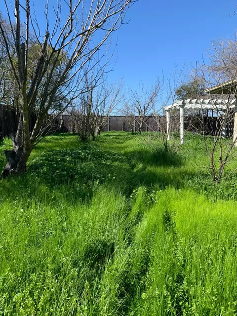 Exterior - 6436 Elder Creek Rd, Sacramento, CA 95824 photo 10 of 26