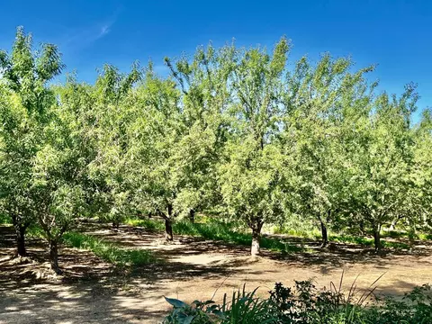 Other - 11200 Roeding Rd, Denair, CA 95316 photo 1 of 5