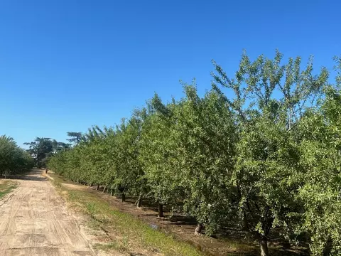 Other - 11200 Roeding Rd, Denair, CA 95316 photo 5 of 5