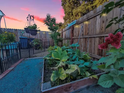 Exterior - 971 Ranch Rd, Galt, CA 95632 photo 9 of 32