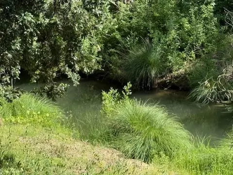 View/Area - 34791 Creeksedge Rd, Davis, CA 95616 photo 3 of 3