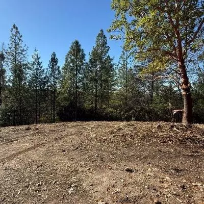 0 Spring Garden Rd, Foresthill, CA 95631 photo 4
