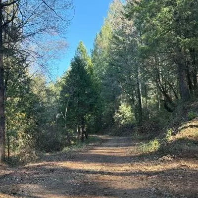 0 Spring Garden Rd, Foresthill, CA 95631 photo 3