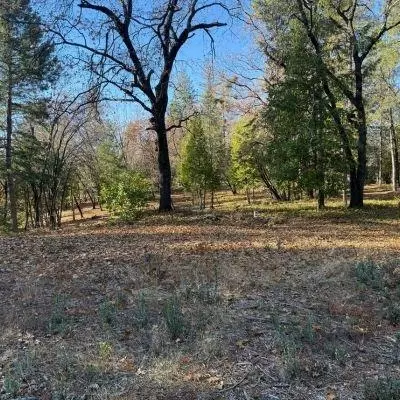 0 Spring Garden Rd, Foresthill, CA 95631 photo 5