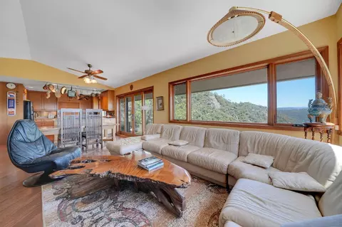 Living - 19000 Meadowbrook Dr, Pine Grove, CA 95665 photo 3 of 13