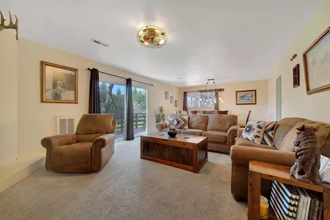 Living - 19840 Meadowood Dr, Jackson, CA 95642 photo 4 of 9