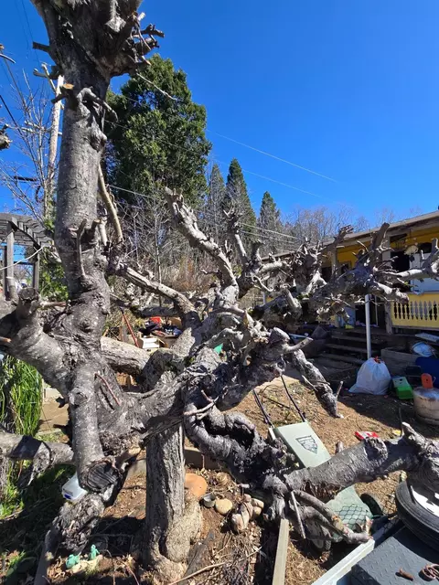 6220 Lower Main, Georgetown, CA 95634 photo 28