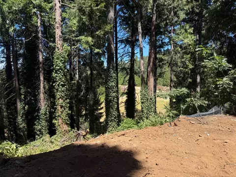 Exterior - 6955 Ridgeway Dr, Pollock Pines, CA 95726 photo 7 of 8
