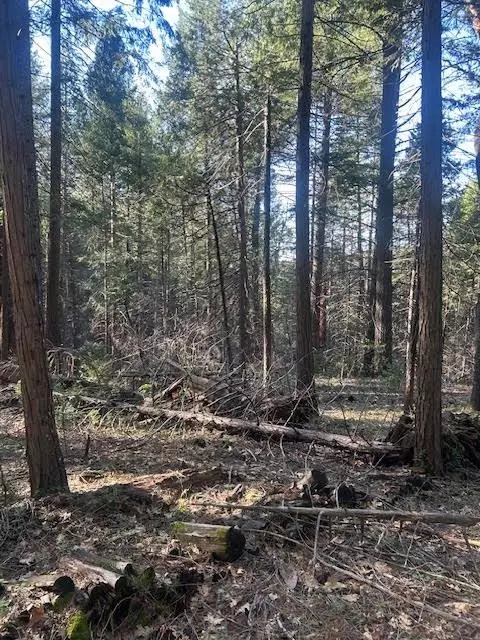 1600 Bear Foot Rd, Georgetown, CA 95634 photo 1