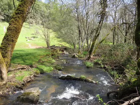 Other - 705 Yankee Jims Rd, Colfax, CA 95713 photo 19 of 22